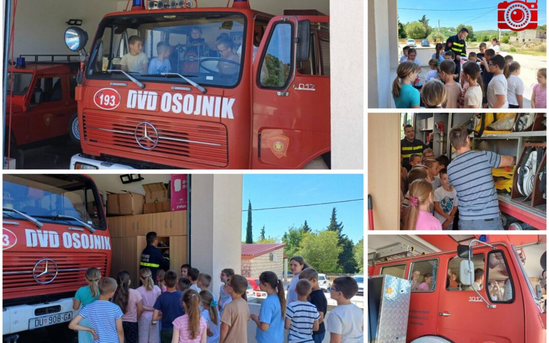 ŠTO TO IMA ZANIMLJIVO U DVD-U OSOJNIK?