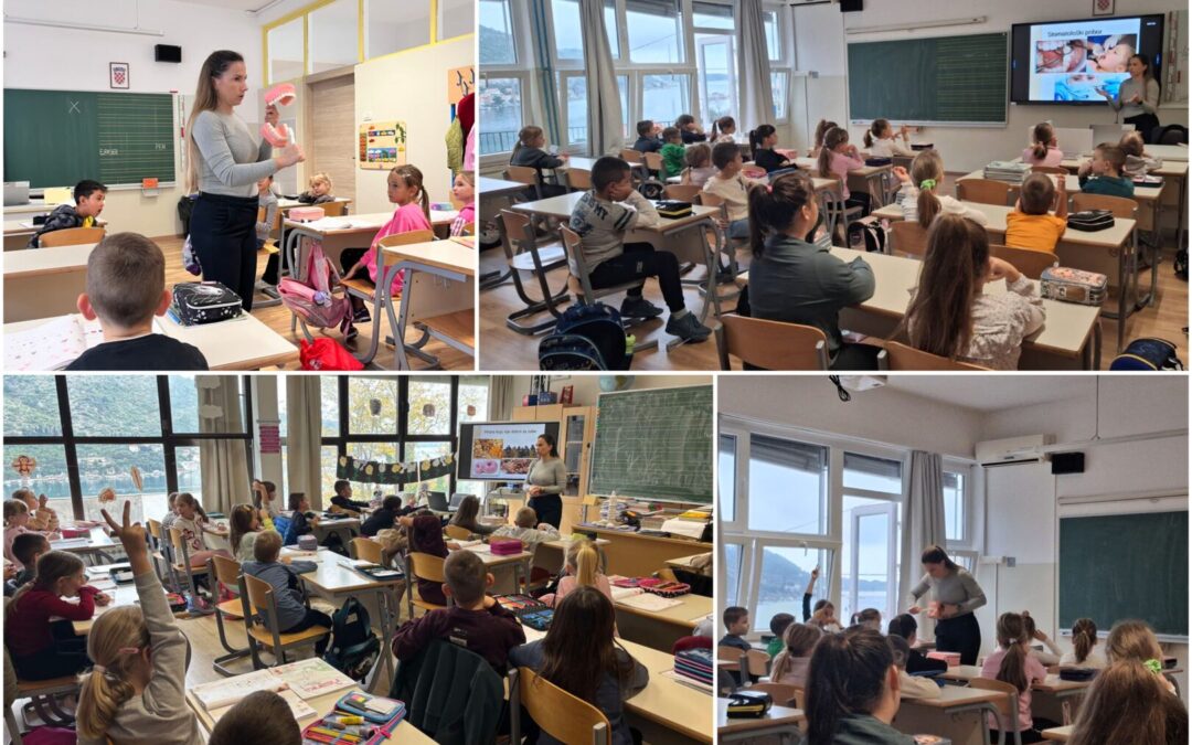 BILO KUDA, ČETKICA SVUDA!